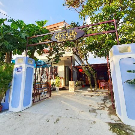 Milk Fruit Homestay - An Bang Beach Хойан Экстерьер фото