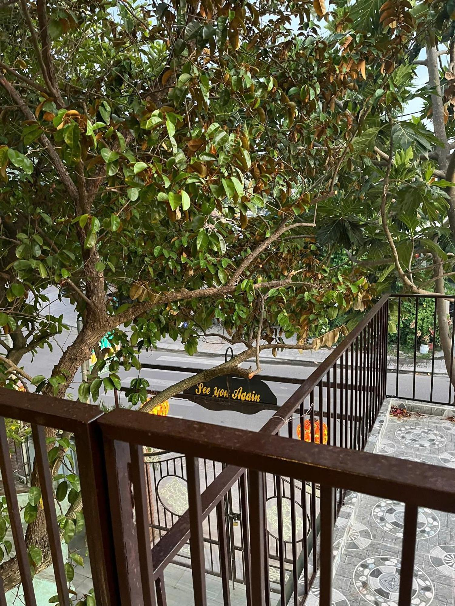 Milk Fruit Homestay - An Bang Beach Хойан Экстерьер фото